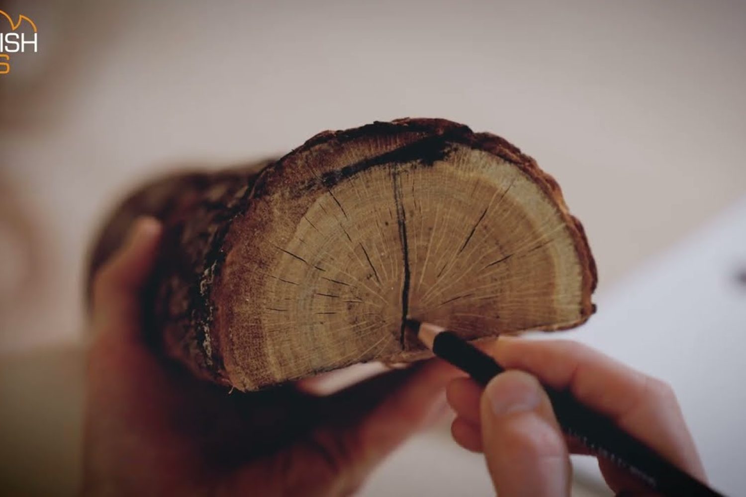 Video thumbnail: The Making of British Fires’ Deluxe Real Logs